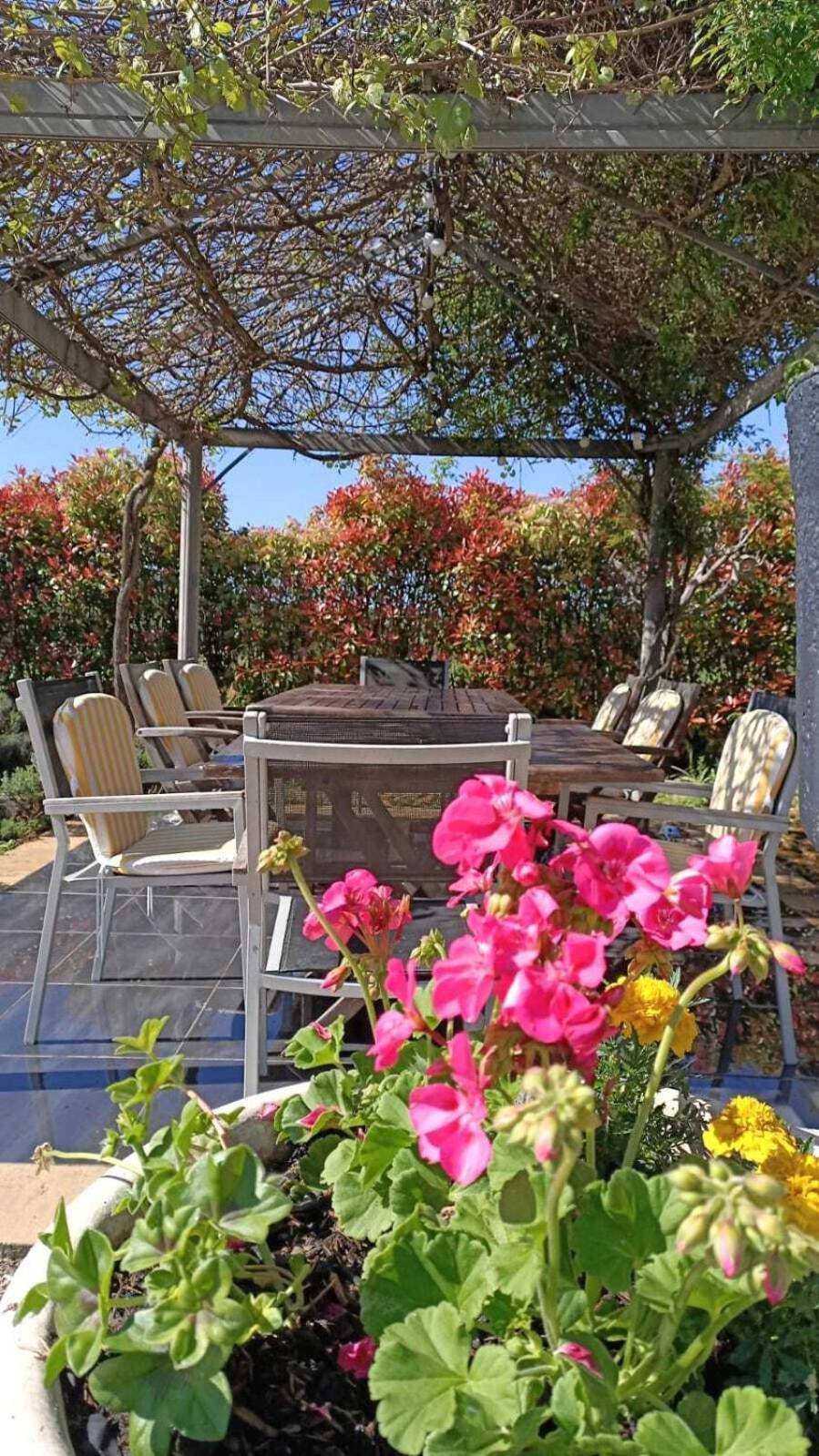 Mon Ventoux - Cozyhotes โซลต์-เดอ-โวคลูซ ภายนอก รูปภาพ